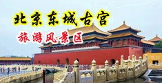 美女脱内衣十八岁以下禁止观看中国北京-东城古宫旅游风景区